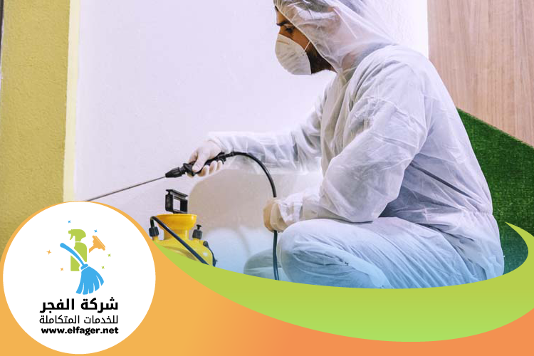 شركة مكافحة بق الفراش في قطر