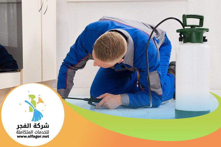 شركة مكافحة النمل الابيض بقطر 4 شركة مكافحة النمل الابيض بقطر