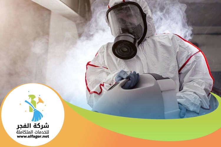 شركة مكافحة النمل الابيض بقطر 3 شركة مكافحة النمل الابيض بقطر