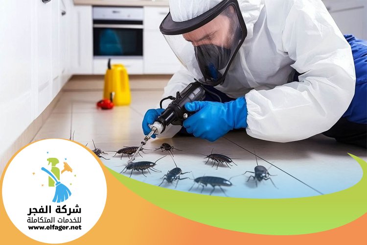 شركة مكافحة الصراصير بقطر 5 شركة مكافحة الصراصير بقطر
