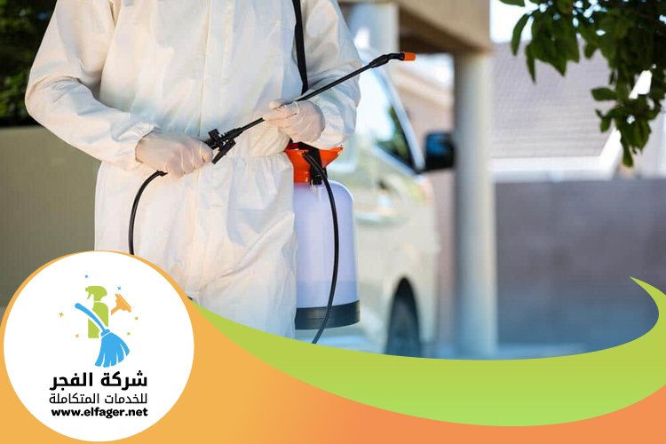 شركة مكافحة بق الفراش في قطر 5 شركة مكافحة بق الفراش في قطر
