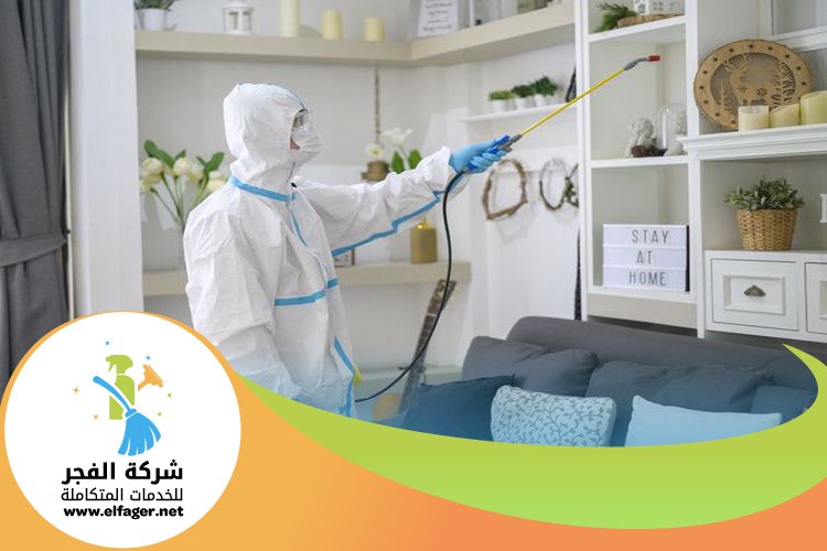 شركة مكافحة الحشرات في قطر 3 شركة مكافحة الحشرات في قطر