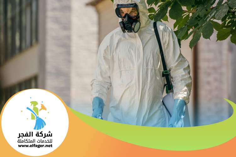 شركة مكافحة الحشرات في قطر 5 شركة مكافحة الحشرات في قطر